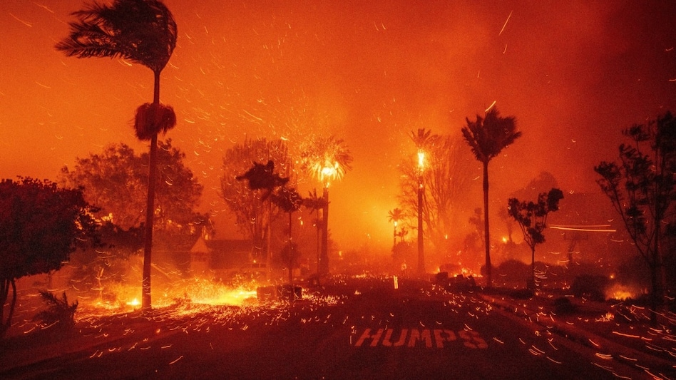 677f03f85d5f9 wildfire ravages 080210396 16x9 1